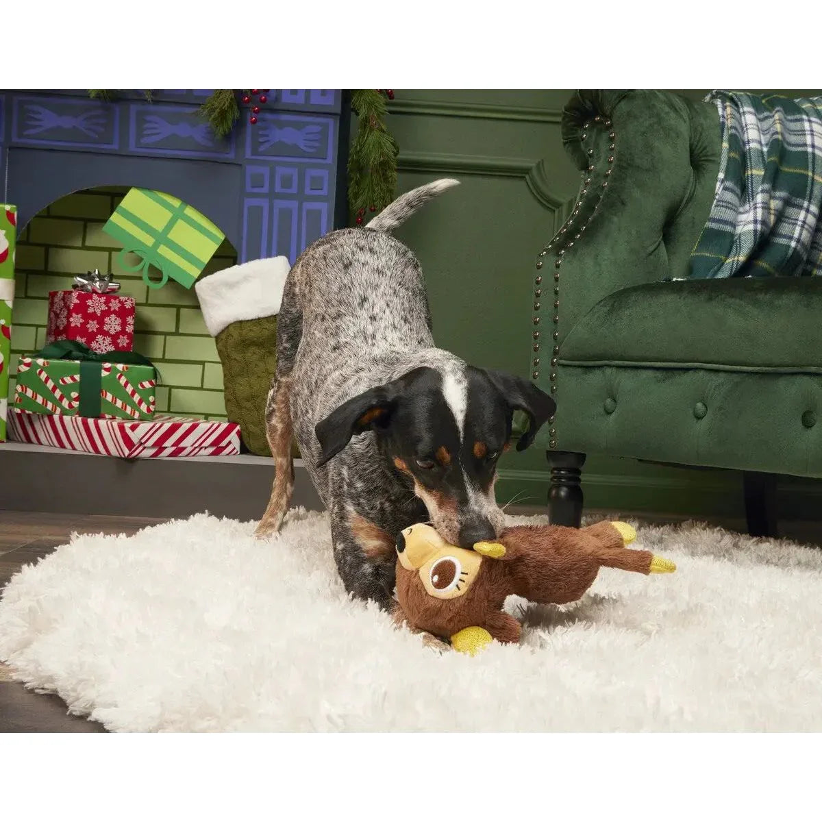 BARK Splootdolph Plush Dog Toy - Talis Us