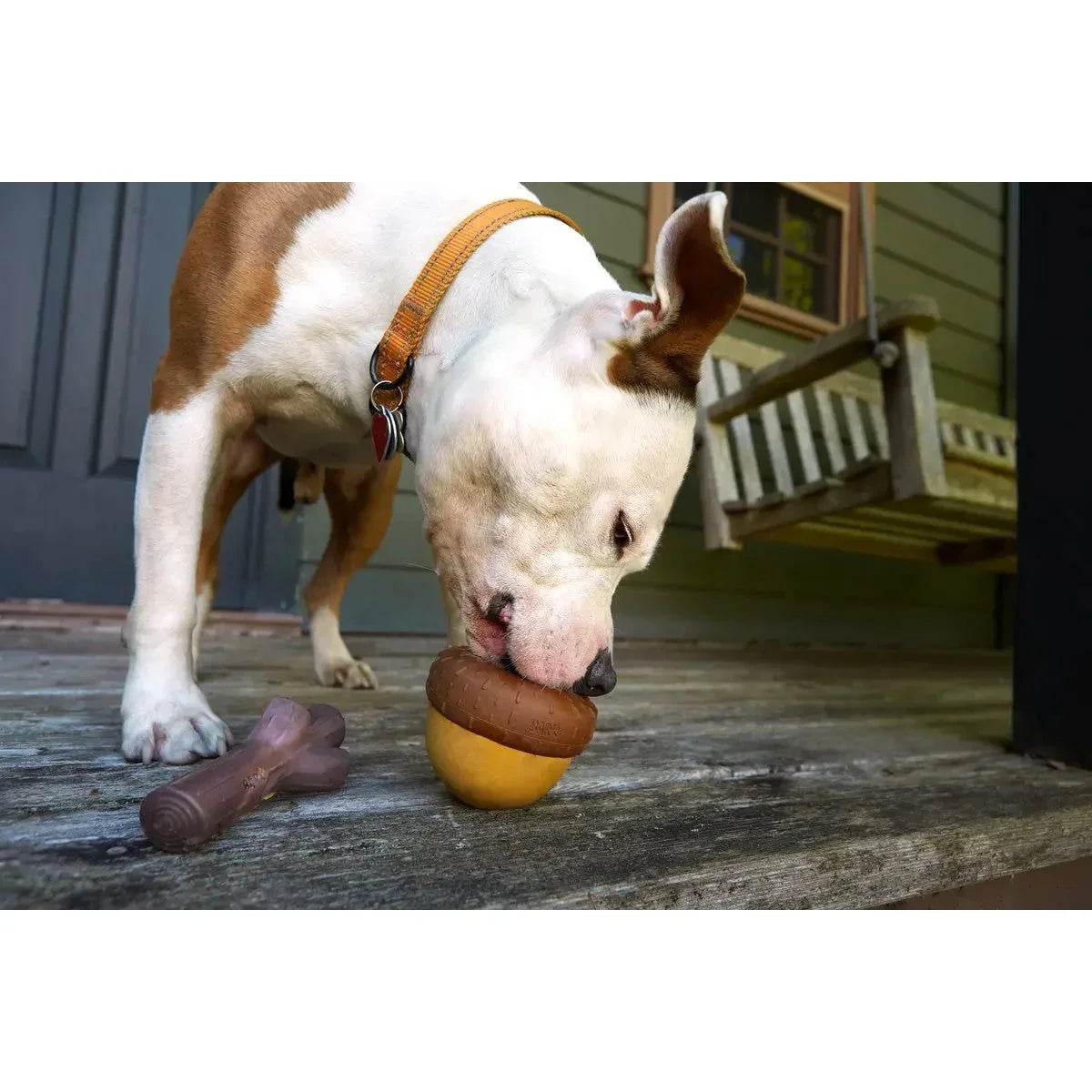 BARK Super Chewer Acornucopia Dog Chew Toys Large - Talis Us