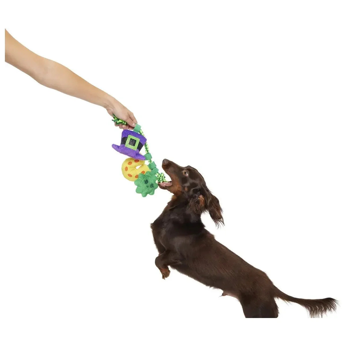 BARK Tuggy Charms Rope Dog Toy - Talis Us