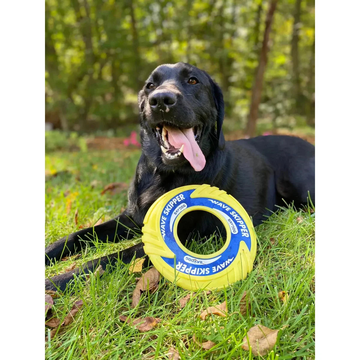BAYDOG WaveSkipper Dog Fetch Toys - Talis Us