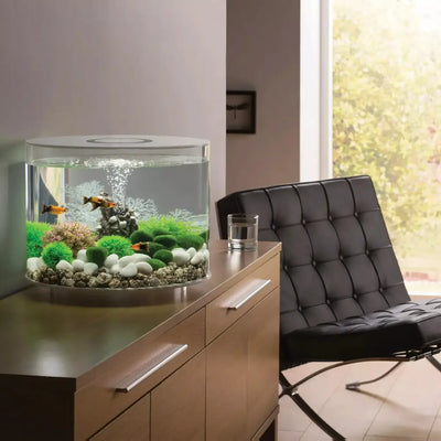 biOrb TUBE 35 Aquarium with Standard Light 9.2 gallon BiOrb