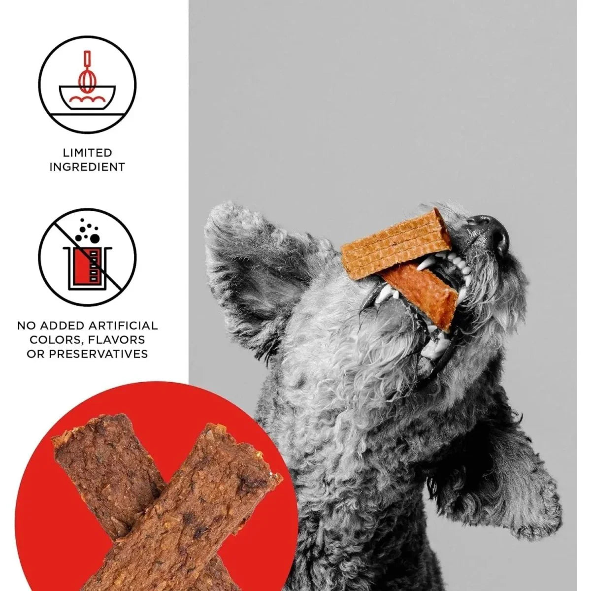 BIXBI Original Jerky Dog Treats 10 oz - Talis Us