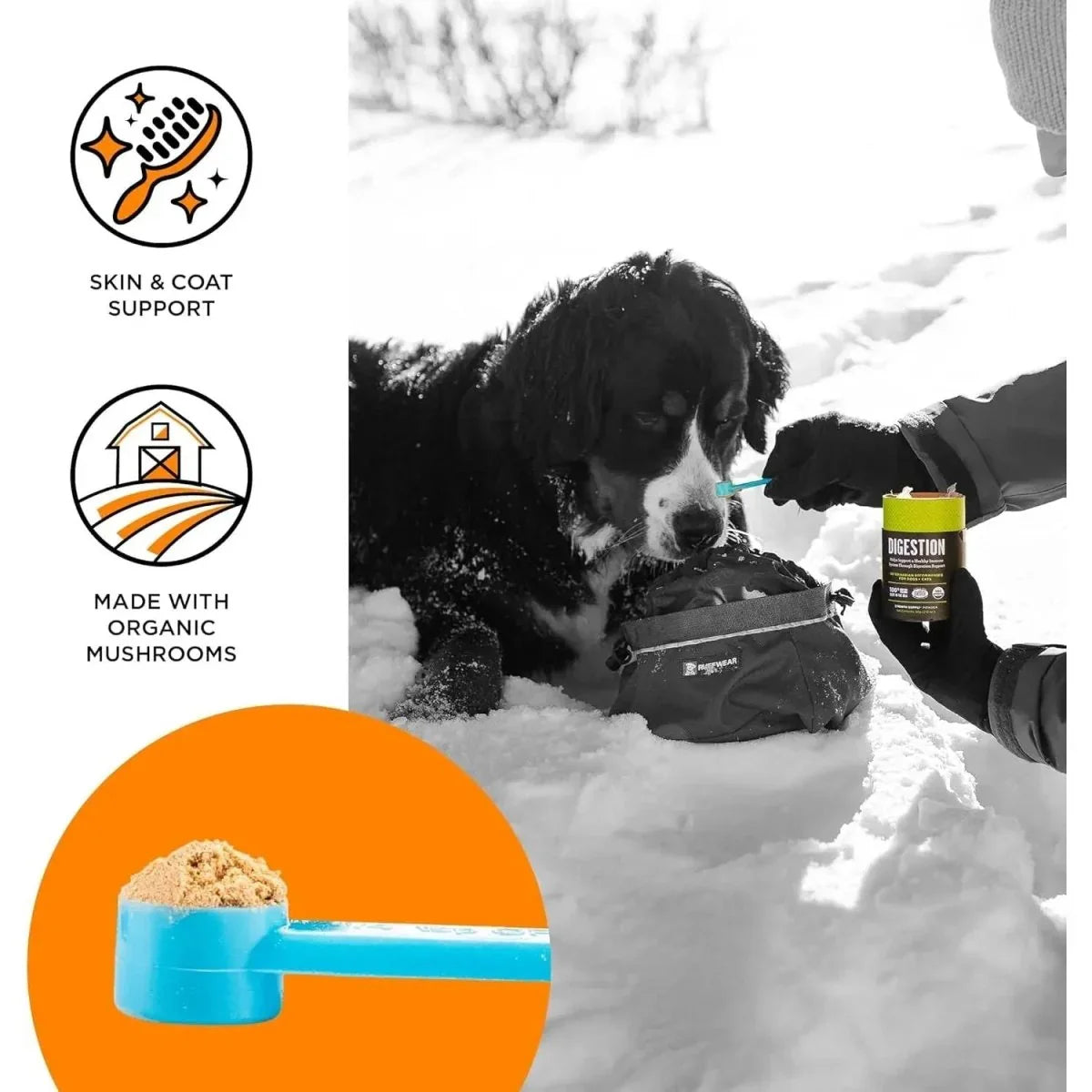 BIXBI Skin & Coat Pet Superfood Daily Mushroom Powder Supplement for Dogs & Cats 2.12 oz - Talis Us