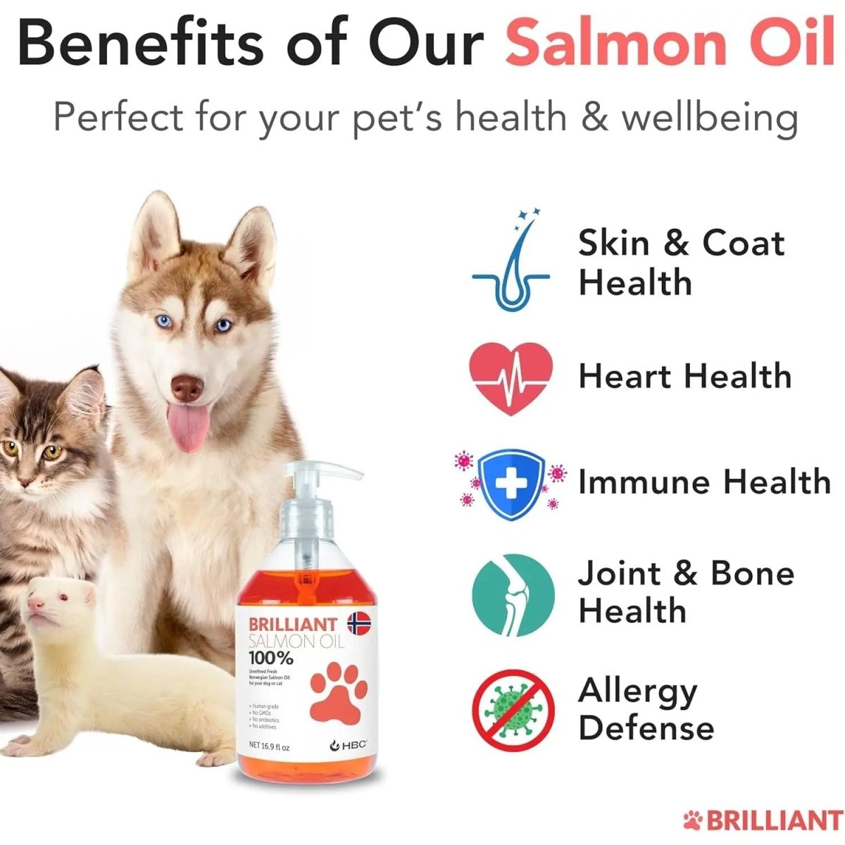 Brilliant Salmon Oil Skin & Coat Supplement for Dogs - Talis Us