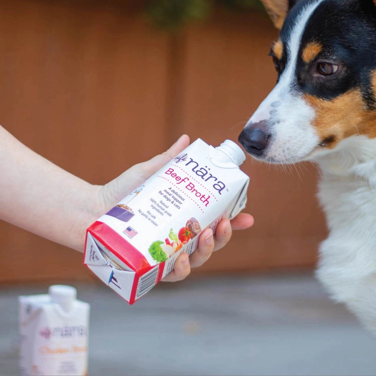 Caru Pet Food Beef Broth for Dogs and Cats in a carton with a dog eagerly sniffing the packaging