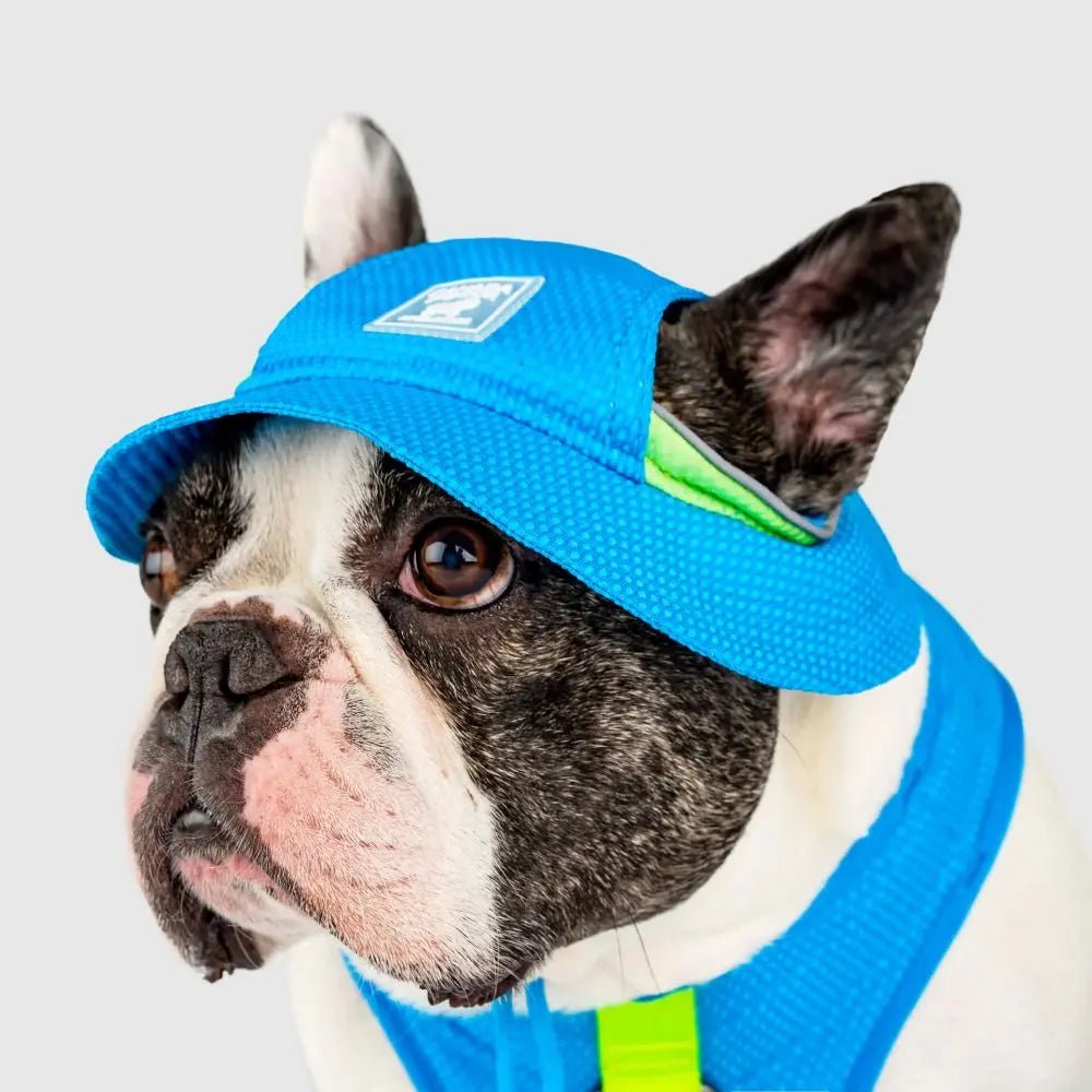 Canada Pooch Chill Seeker Cooling Dog Hat - Talis Us