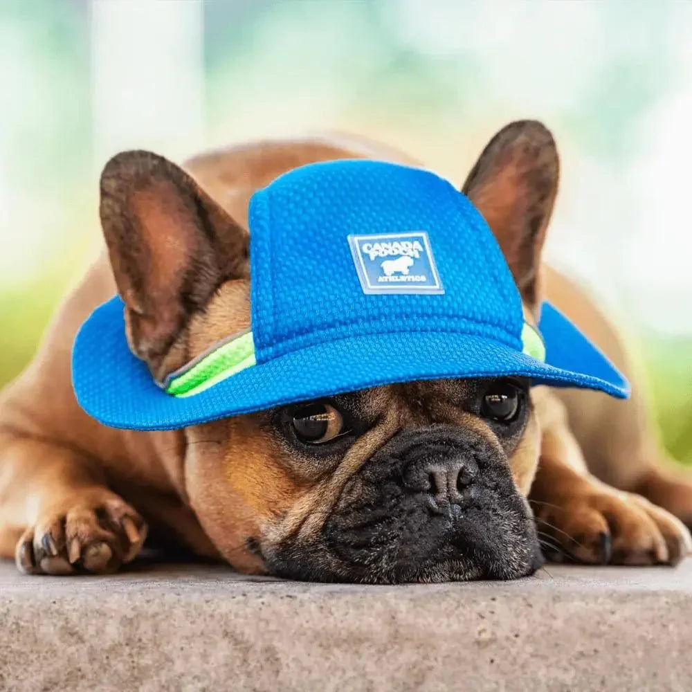 Canada Pooch Chill Seeker Cooling Dog Hat - Talis Us