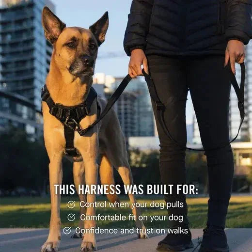 Canada Pooch Complete Control Dog Harness - Talis Us