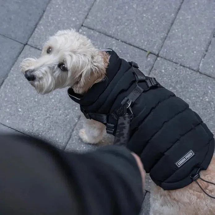 Canada Pooch Dog Puffer with Harness - Talis Us