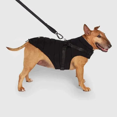 Canada Pooch Dog Puffer with Harness - Talis Us