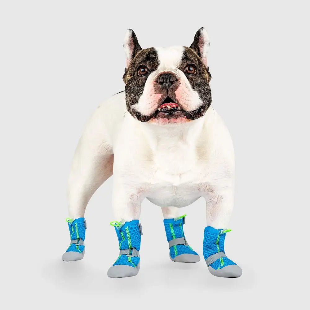 Canada Pooch Hot Pavement Dog Boots - Talis Us