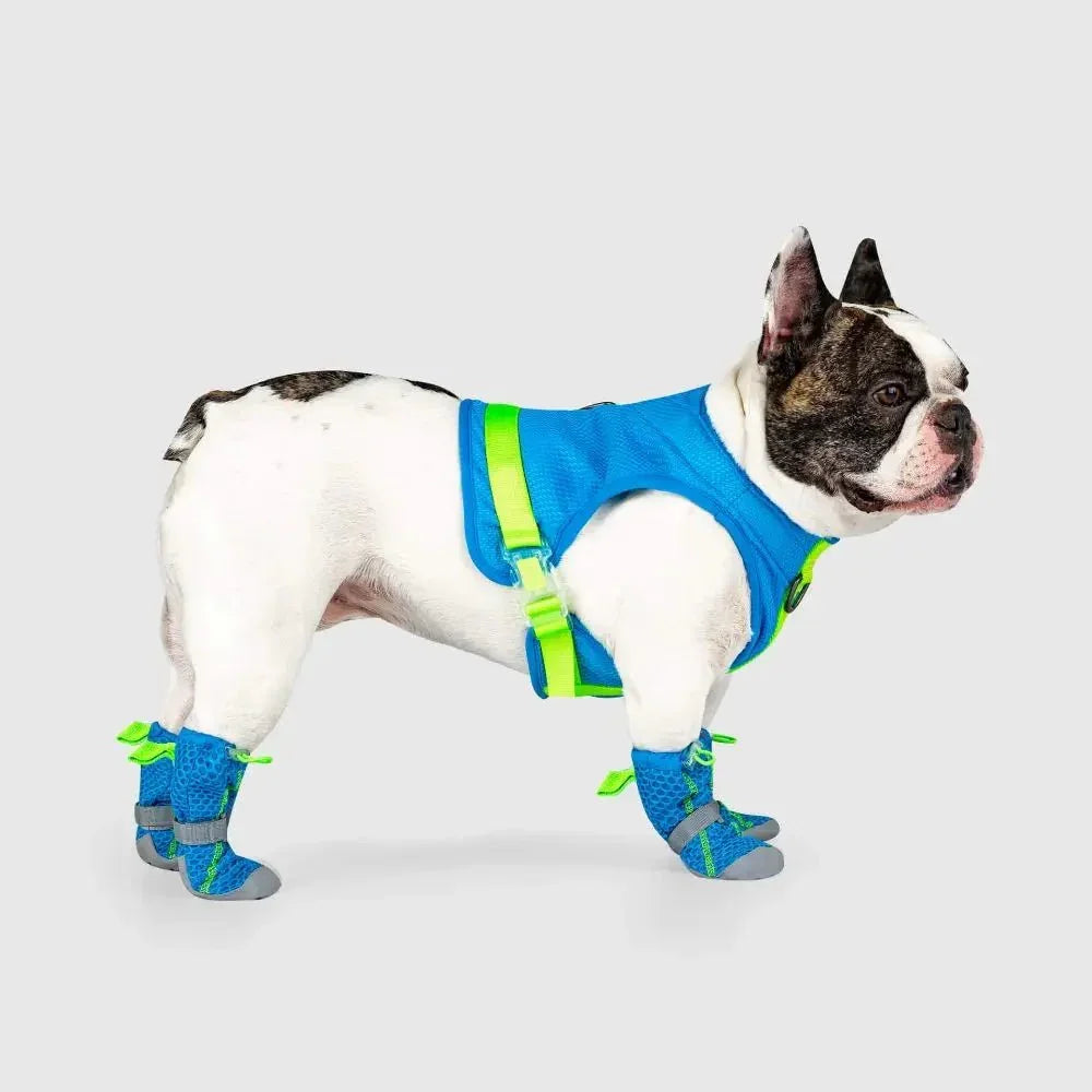 Canada Pooch Hot Pavement Dog Boots - Talis Us