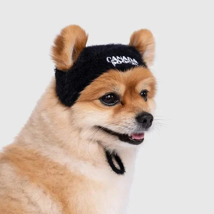 Canada Pooch Pawparazzi Dog Beanie - Talis Us