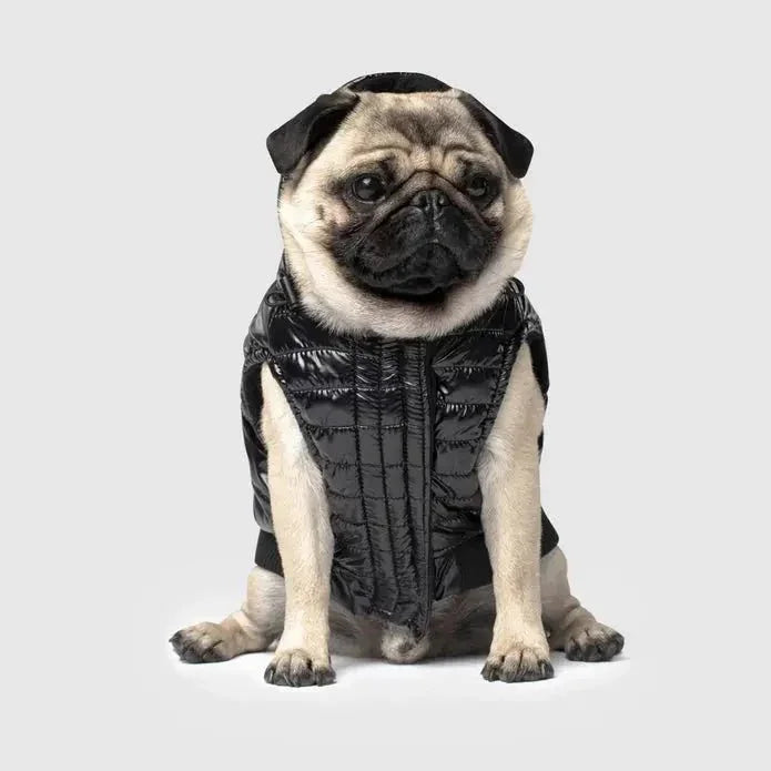 Canada Pooch Shiny Dog Puffer Vest - Talis Us