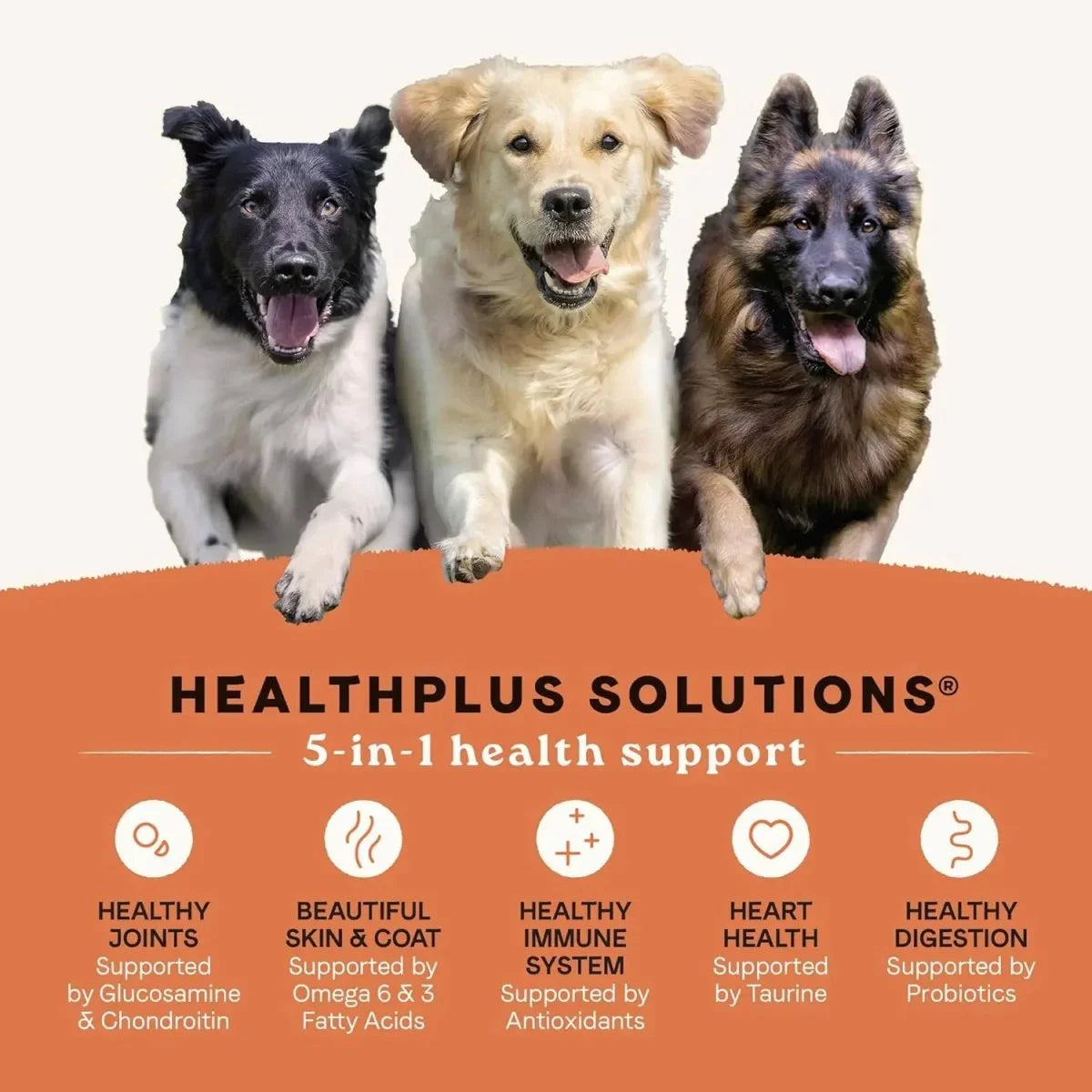 CANIDAE All Life Stages Real Salmon & Ancient Grains Dry Dog Food - Talis Us