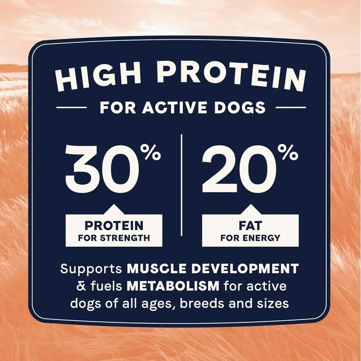 CANIDAE All Life Stages Real Salmon & Ancient Grains Dry Dog Food - Talis Us