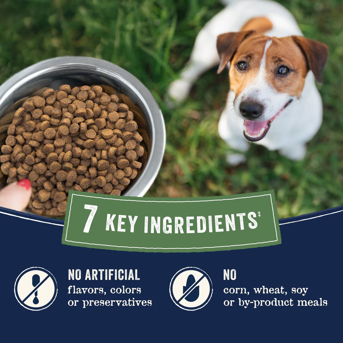 Canidae Small Breed Salmon Dry Dog Food with natural ingredients and no artificial additives