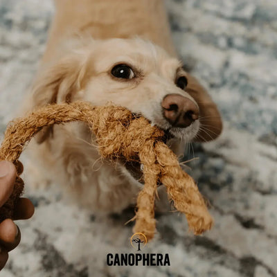 Canophera Coconut Rope Toys for Dogs - Talis Us