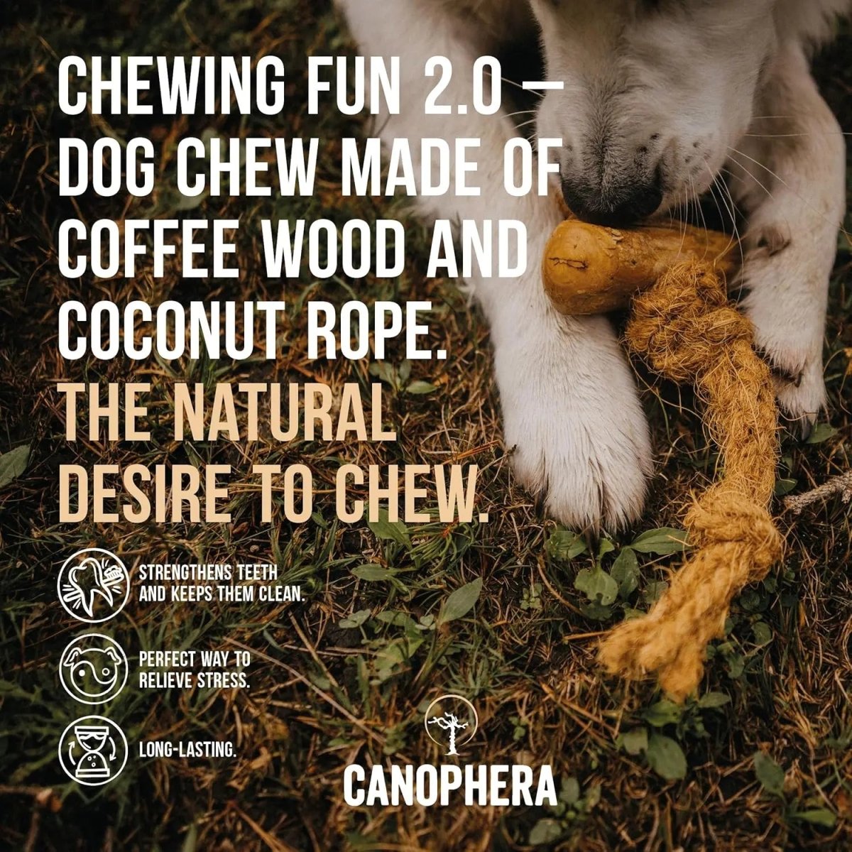 Canophera Coffee Wood & Coconut Rope Dog Toy for All Breeds - Talis Us