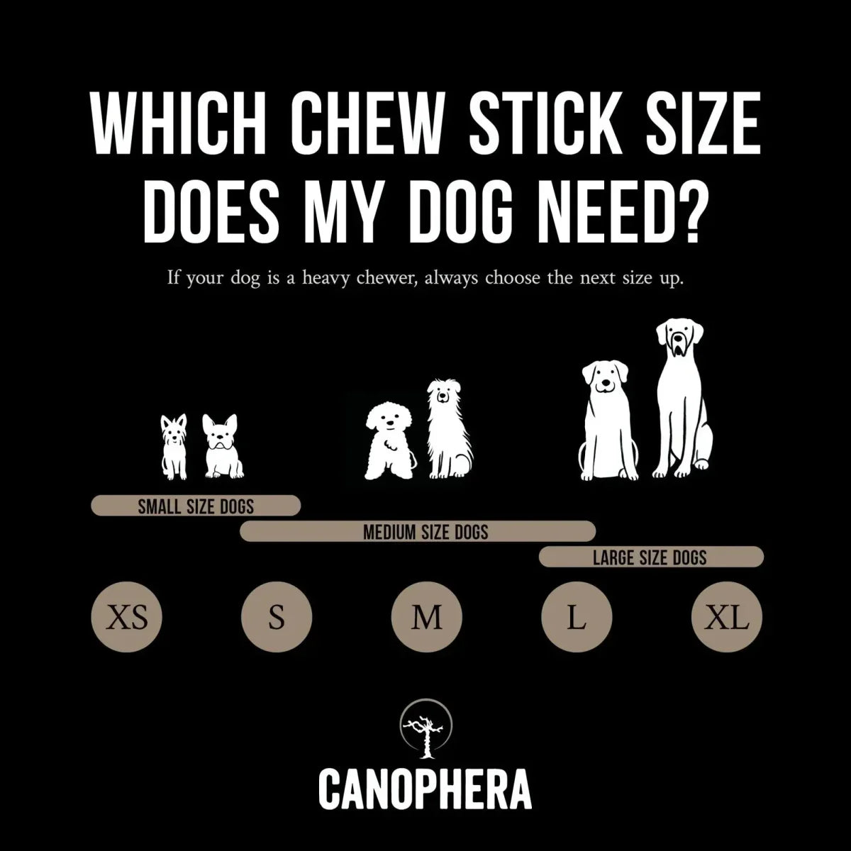 CANOPHERA Sheep Dog Chew Horn - Talis Us