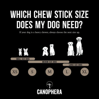 CANOPHERA Sheep Dog Chew Horn - Talis Us