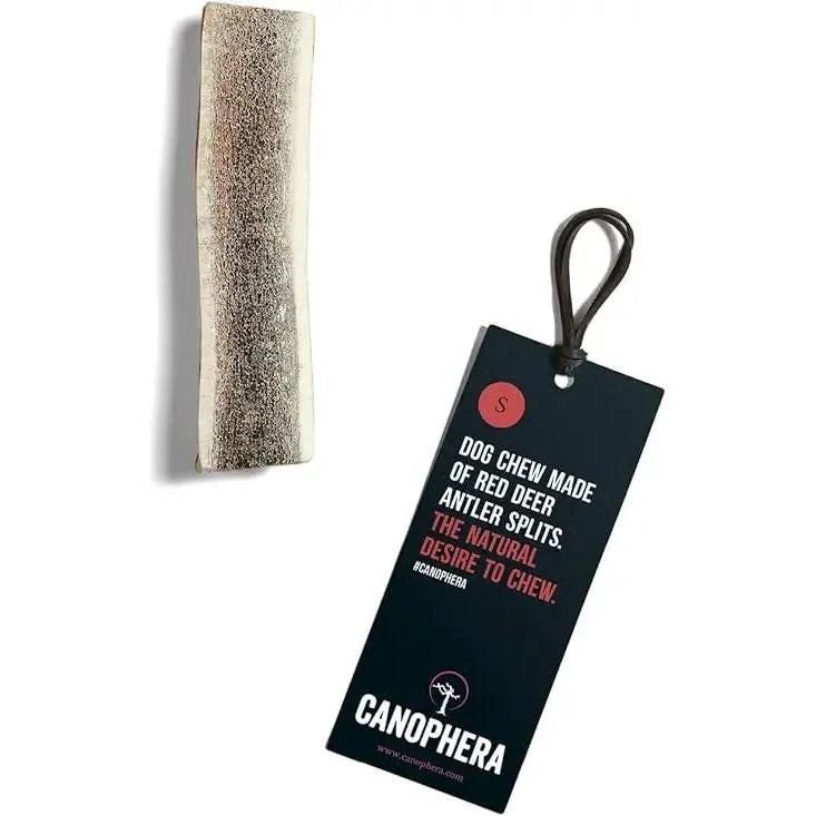 Canophera Split Red Deer Antler for Dogs - Talis Us