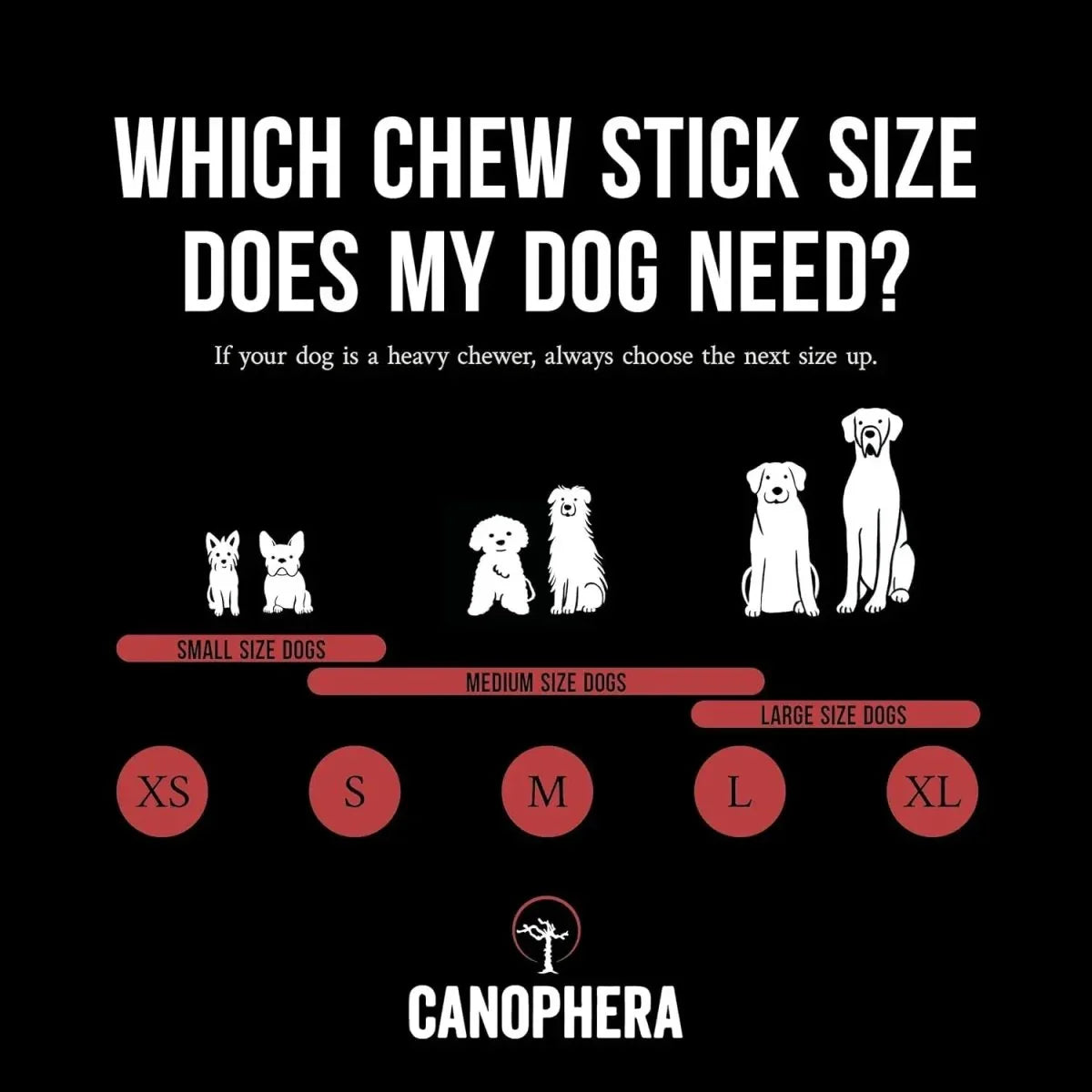 Canophera Split Red Deer Antler for Dogs - Talis Us