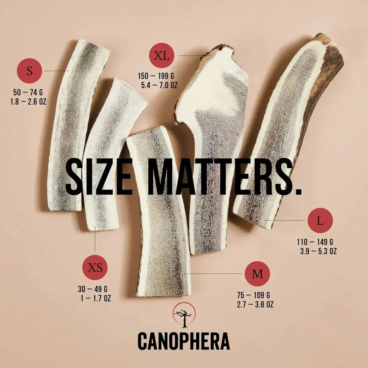 Canophera Split Red Deer Antler for Dogs - Talis Us