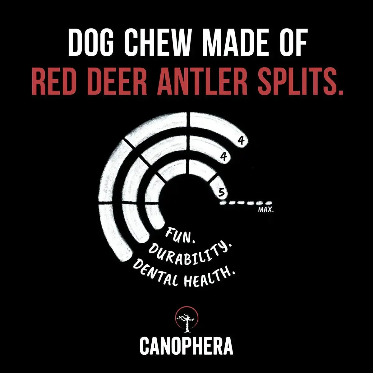 Canophera Split Red Deer Antler for Dogs - Talis Us