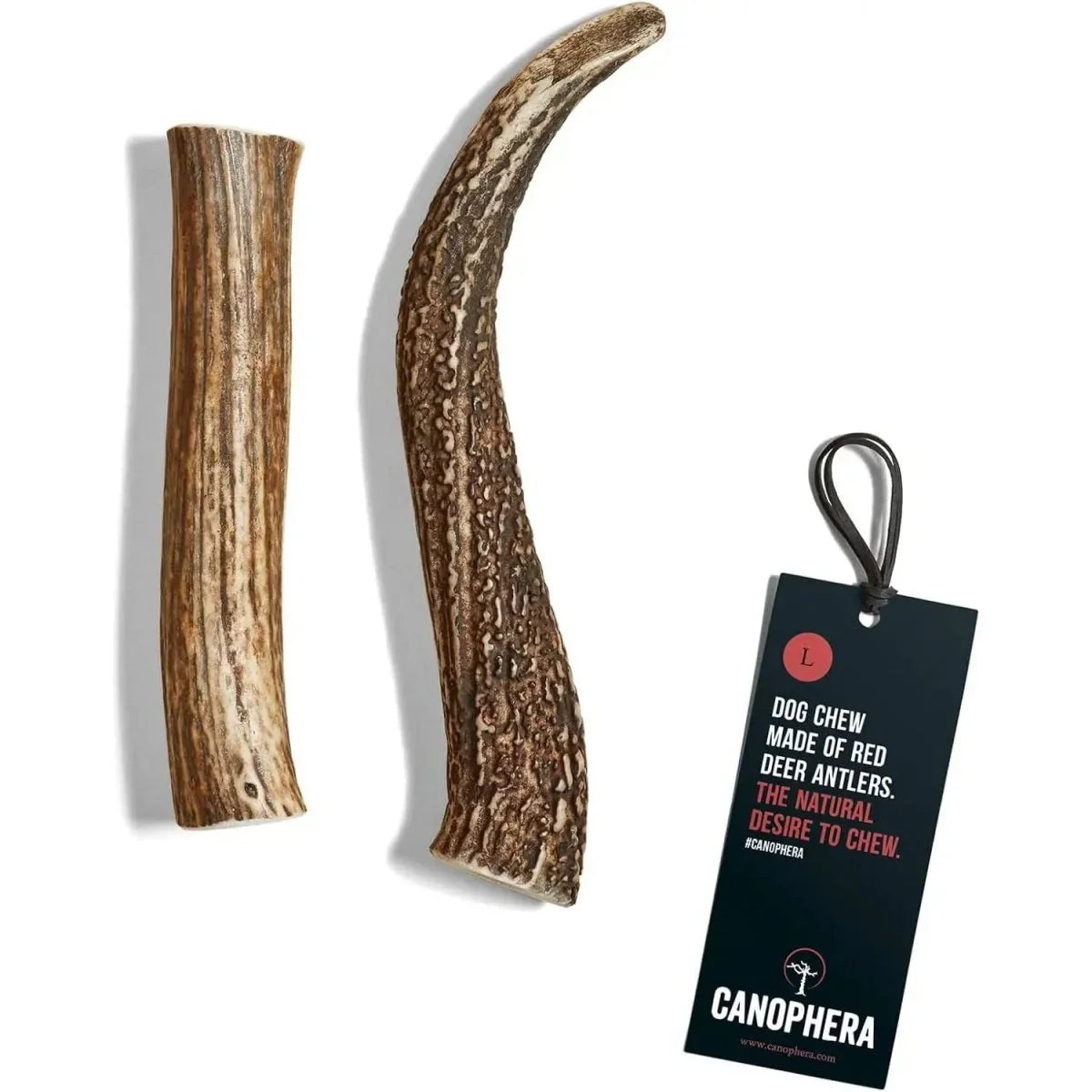 Canophera Whole Red Deer Antler Dog Chew - Talis Us