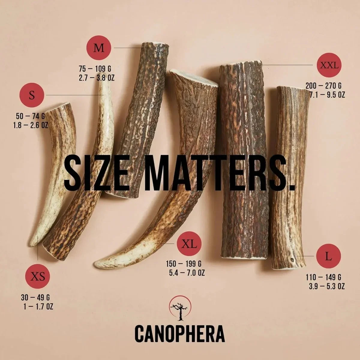Canophera Whole Red Deer Antler Dog Chew - Talis Us