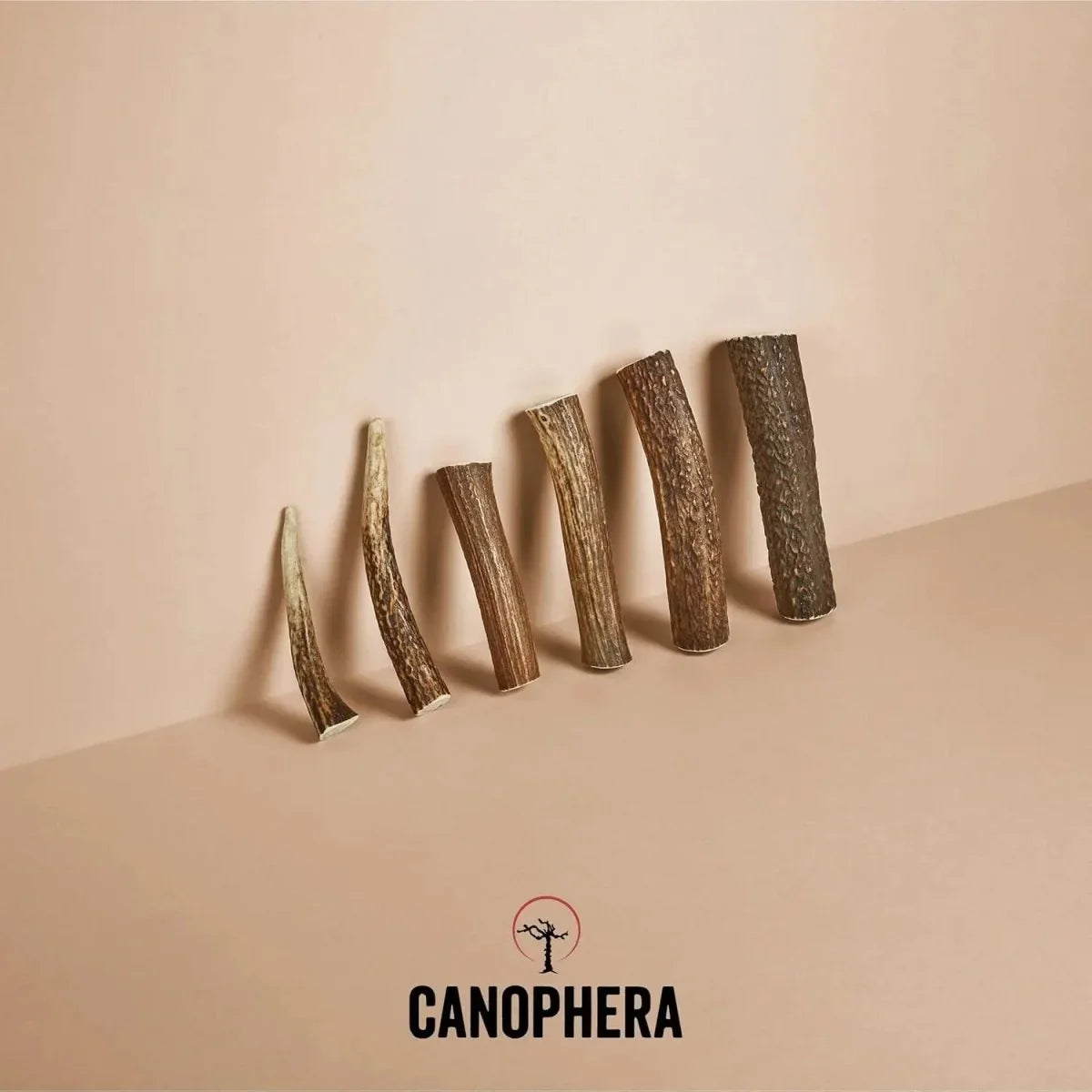 Canophera Whole Red Deer Antler Dog Chew - Talis Us
