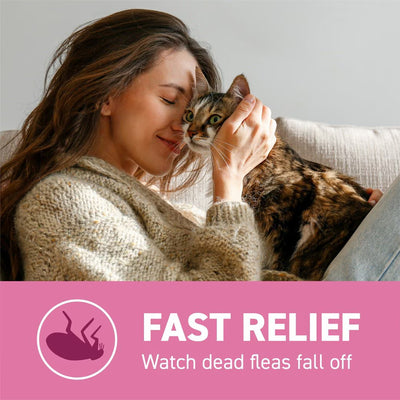 Capstar cat flea tablets without prescription provide fast relief from fleas for your pet