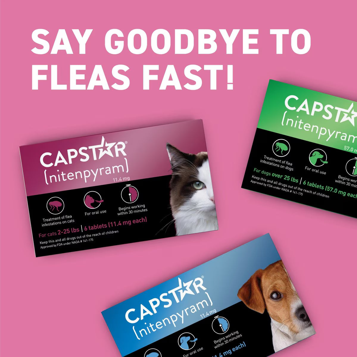 Capstar cat flea tablets without prescription for rapid flea and tick control in cats