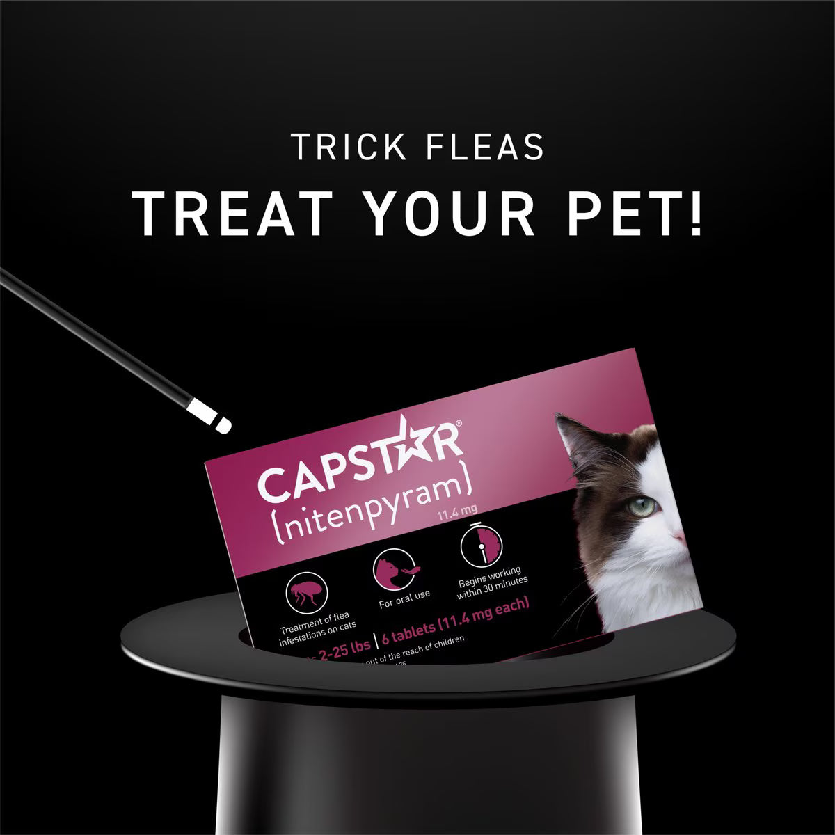 Capstar Cat Flea Tablets without Prescription for Fast Flea and Tick Control