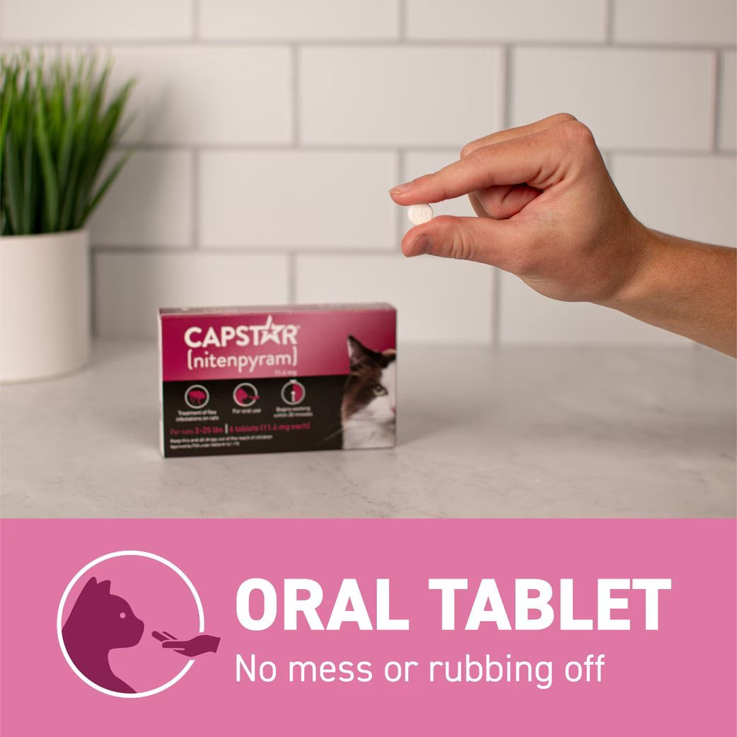 Capstar cat flea tablets without prescription, easy oral treatment for effective flea control