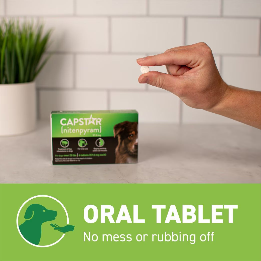 Capstar flea tablet for large dogs in package with a hand holding it for easy application