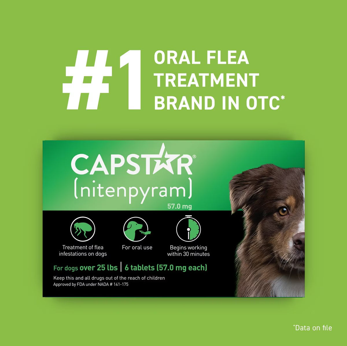Capstar flea tablet for large dogs in a six-count package, effective flea treatment for dogs over 25 lbs