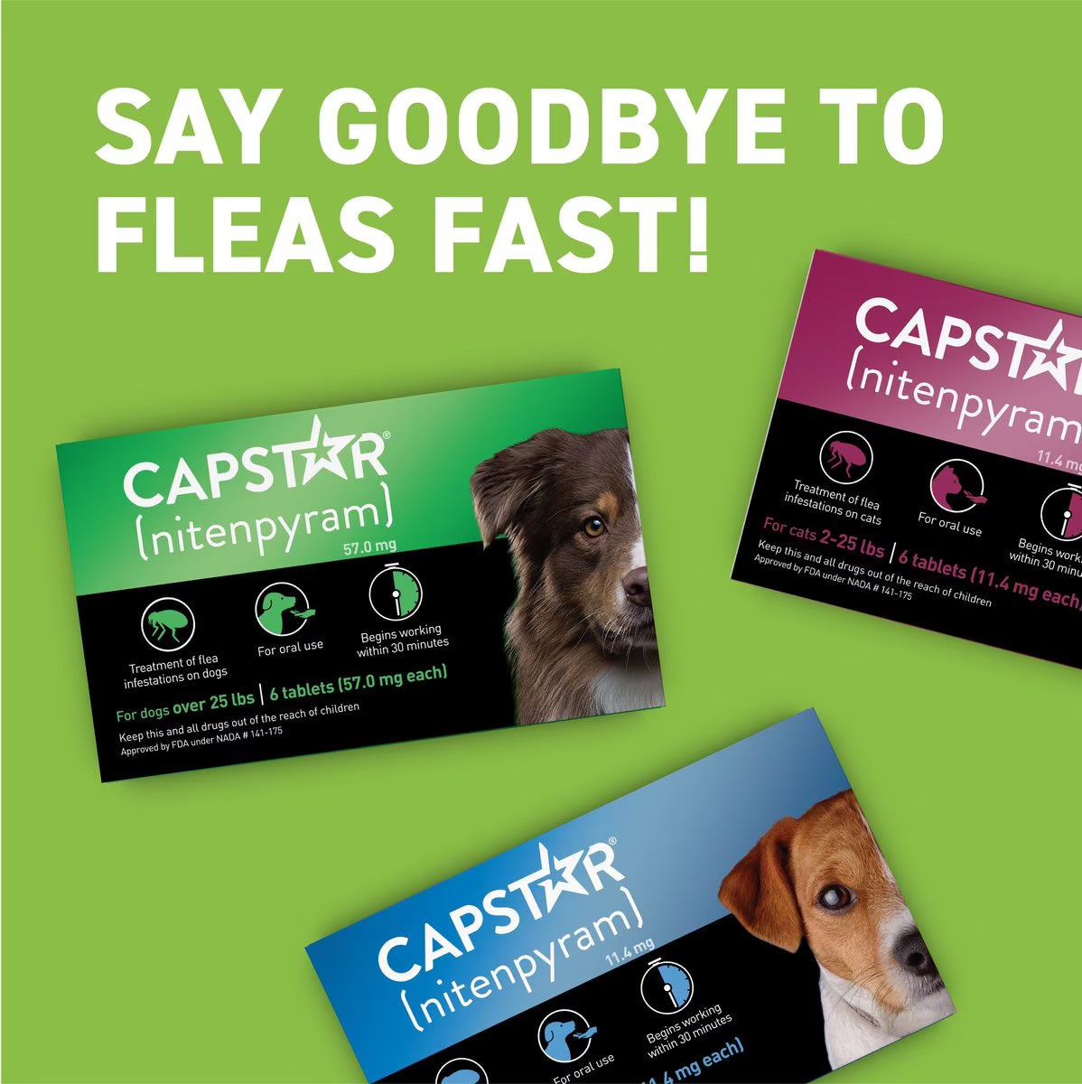 Capstar flea tablet for large dogs, effective treatment for fast flea control in dogs over 25 pounds