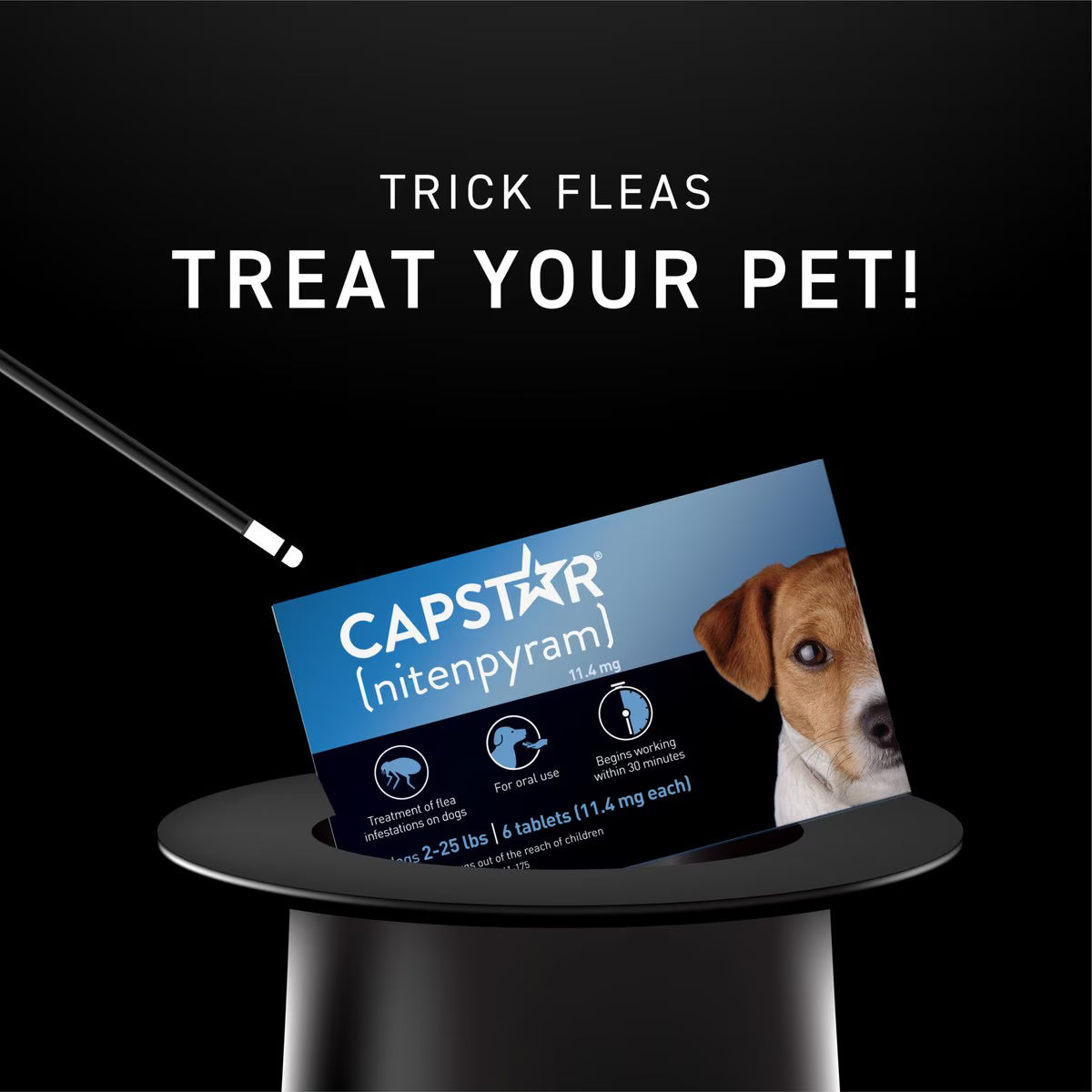 Capstar flea tablets for small dogs in a magician's hat promoting effective flea treatment