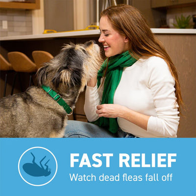 Capstar flea tablets for small dogs providing fast relief as dead fleas fall off