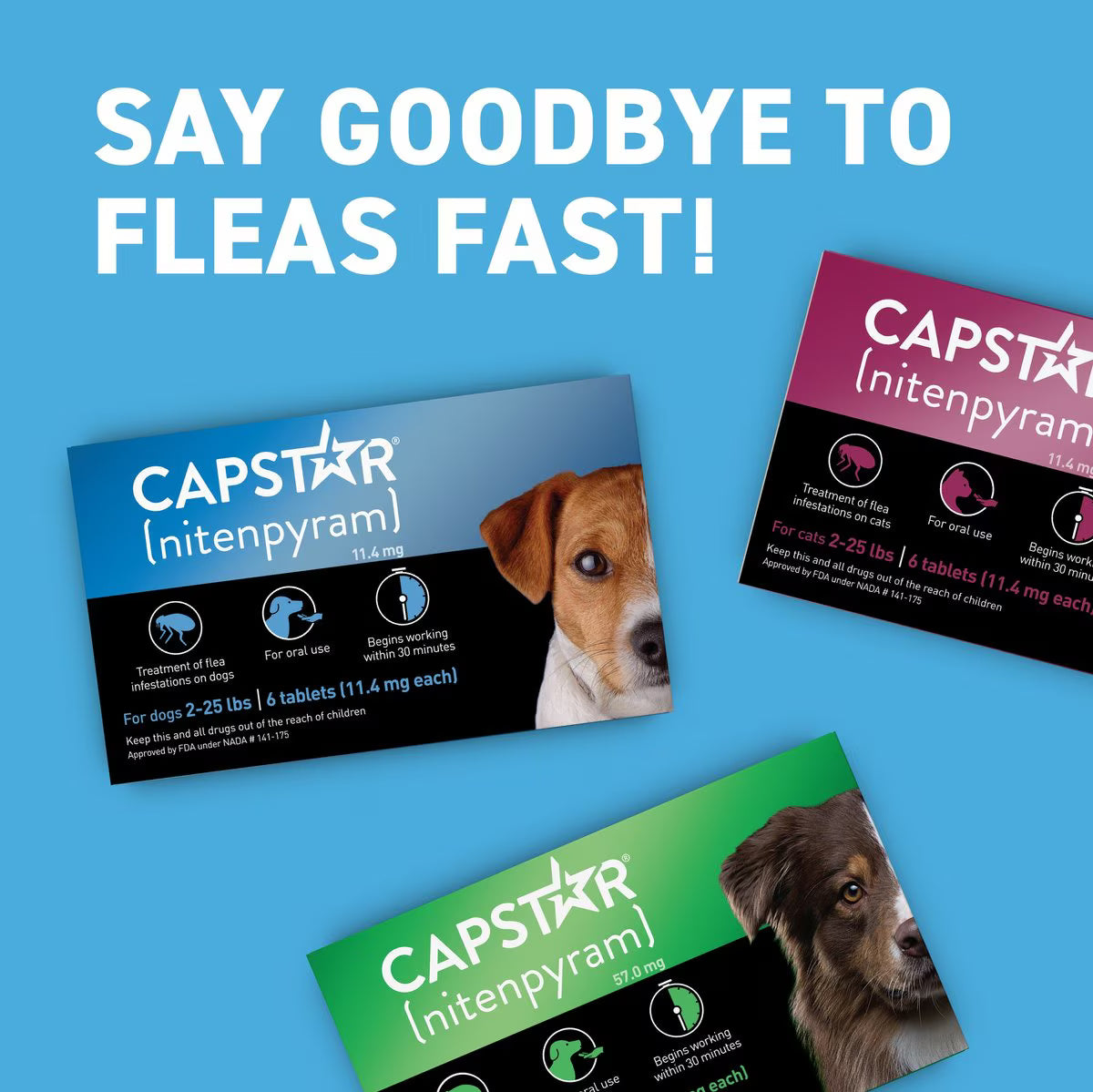 Capstar flea tablets for small dogs in blue and green packaging for quick flea control