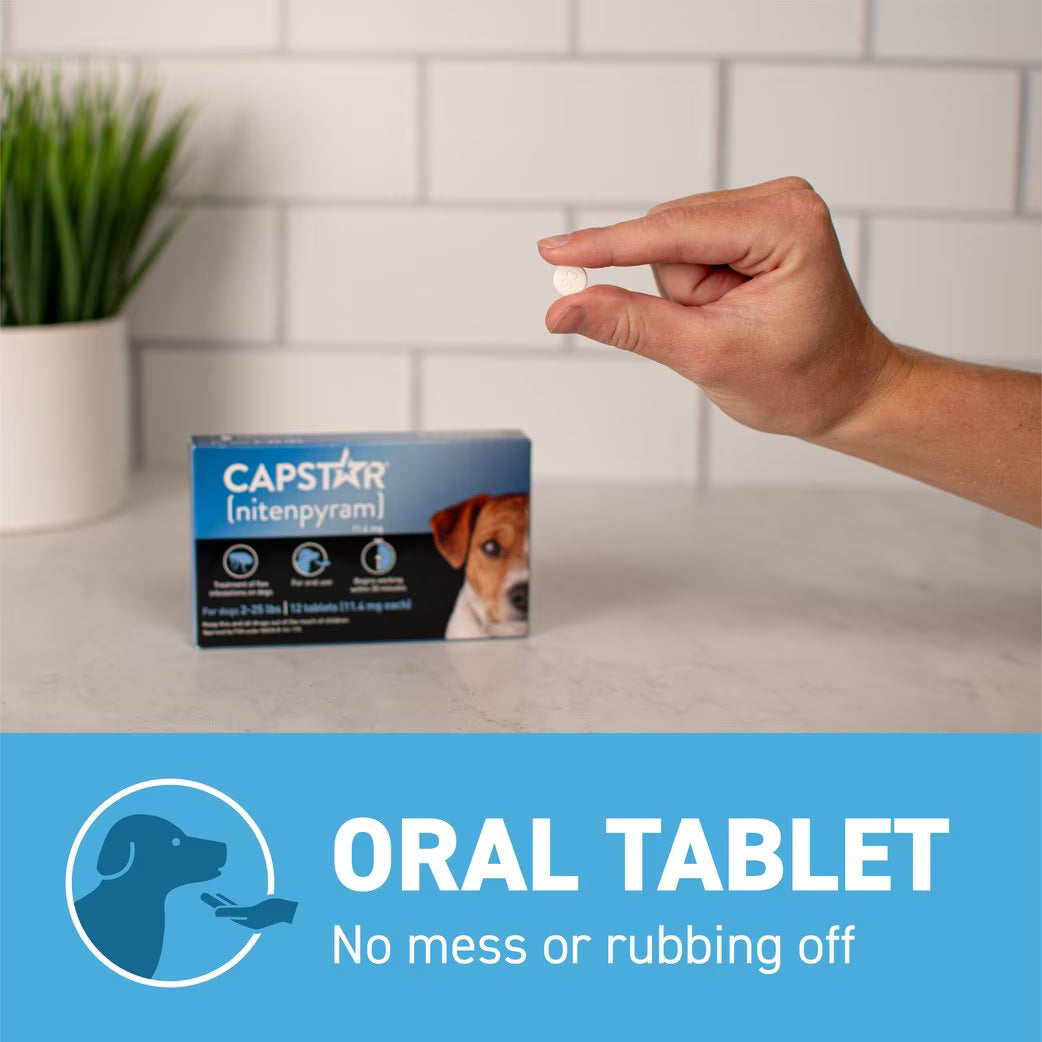 Capstar flea tablets for small dogs in a box with a hand holding an oral tablet for flea control
