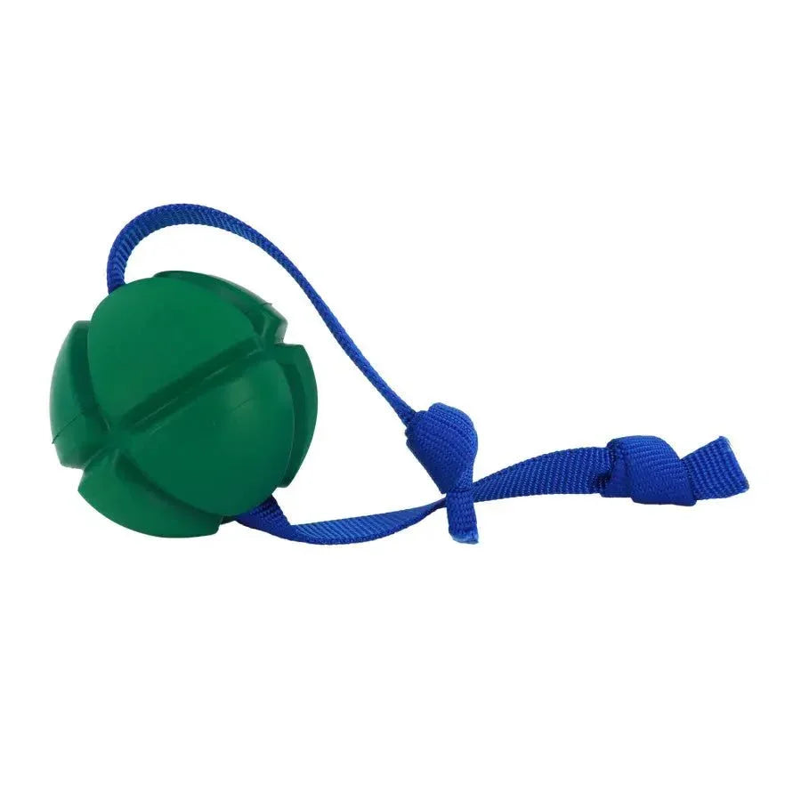 Coastal PetKORE FloTek Tug Dog Toy - Talis Us