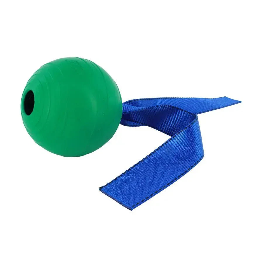 Coastal PetKORE KOREflex Ball & Tail Dog Toy 4.75 in - Talis Us