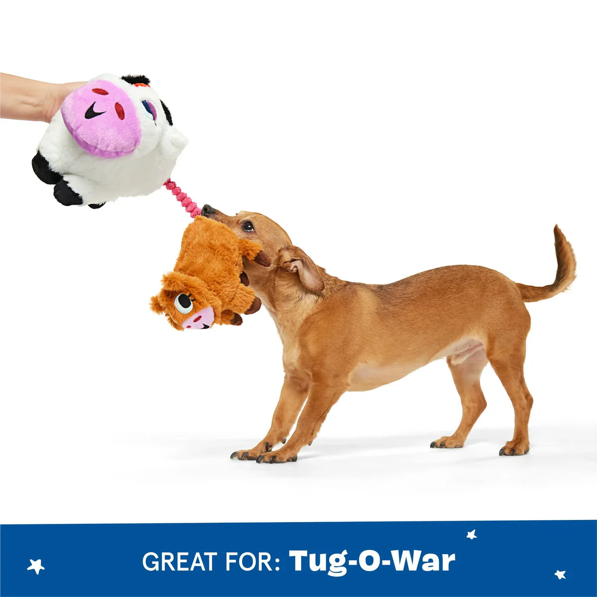 BARK cow dog plush toy designed for tug-of-war play with a cute cow and soft textures