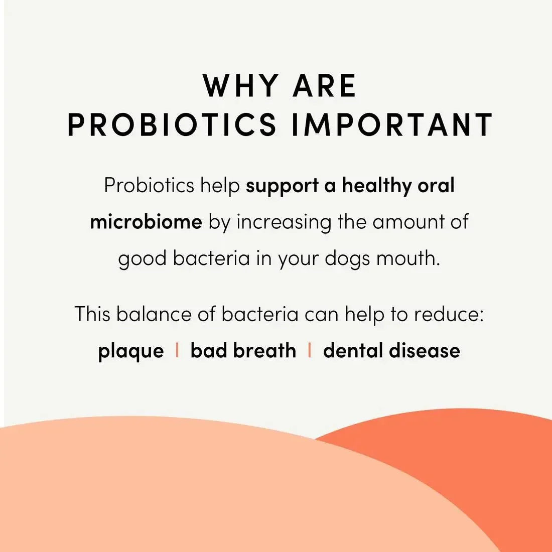 Crumps Plaque Busters Advanced Whole Mouth Care Dental Sticks With Probiotics Dog 10ct 9.5oz - Talis Us