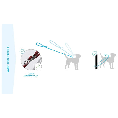 Curli Vario Comfort Dog Leash - Talis Us