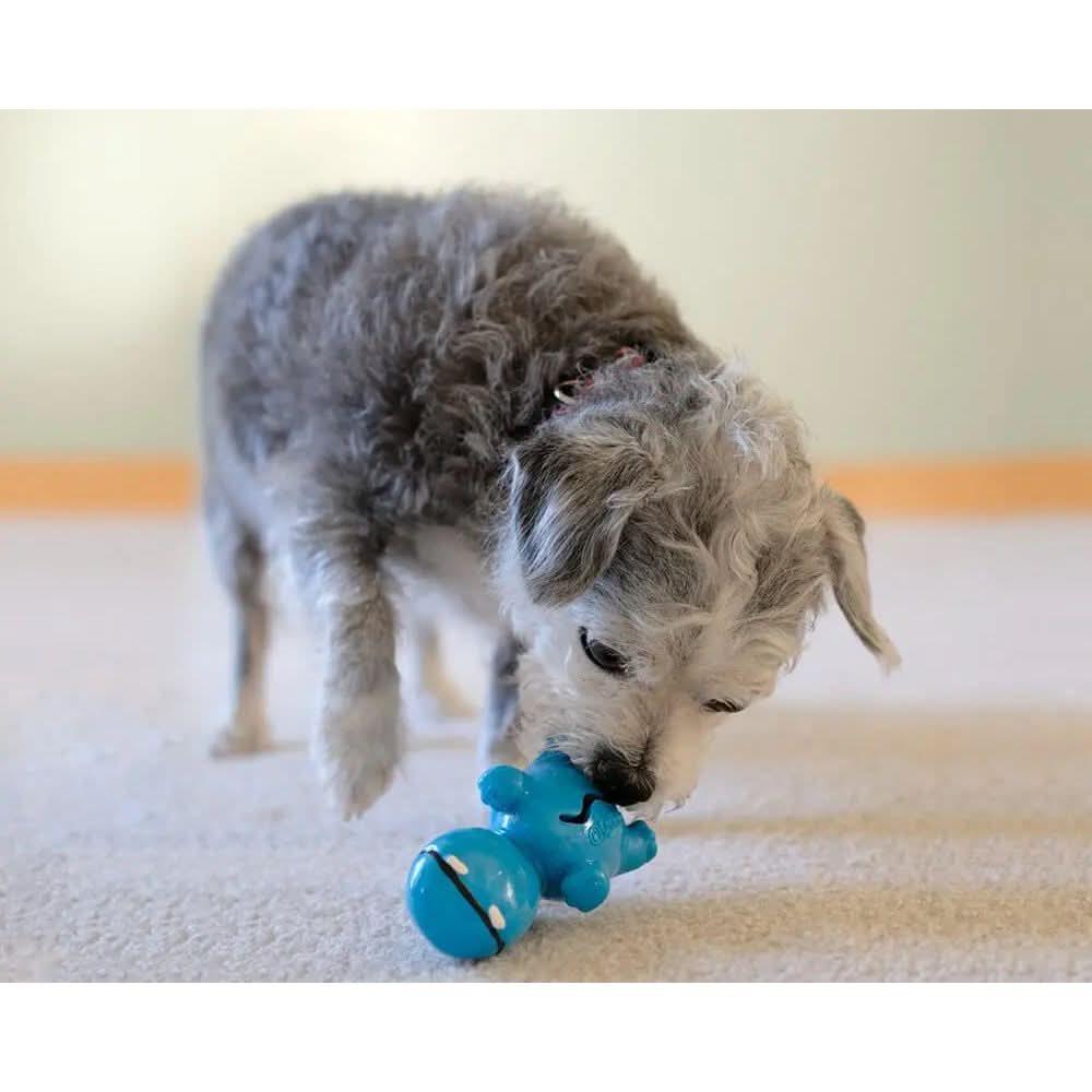 Cycle Dog 3 - Play Hippo Dog Toy - Talis Us