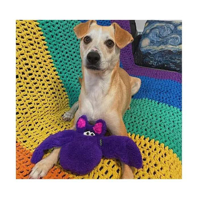 Cycle Dog Duraplush Bat - Talis Us